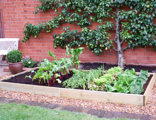 timber grow bed extension
